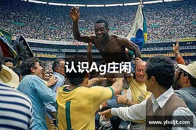 认识Ag庄闲
